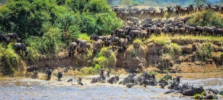 3-day mid-range safari package exploring wildlife in Ndutu Southern Serengeti