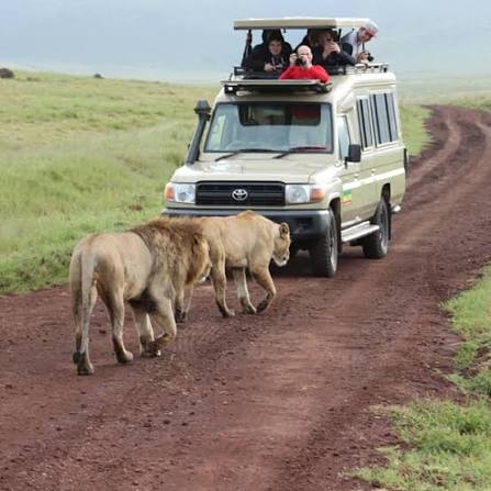 Luxury 4 Day Migration Safari package itinerary with Tanzania Solely Tours