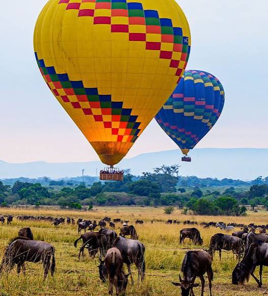 5 days Serengeti midrange safari vehicle on a game drive