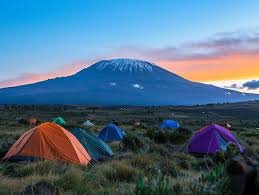 Luxury high-altitude campsite setup at Buffalo and Third Cave Camp