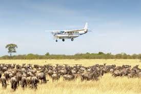 3 days luxury serengeti safari
