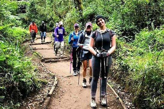 Trekkers taking on the high-altitude challenge of climbing Mount Kilimanjaro