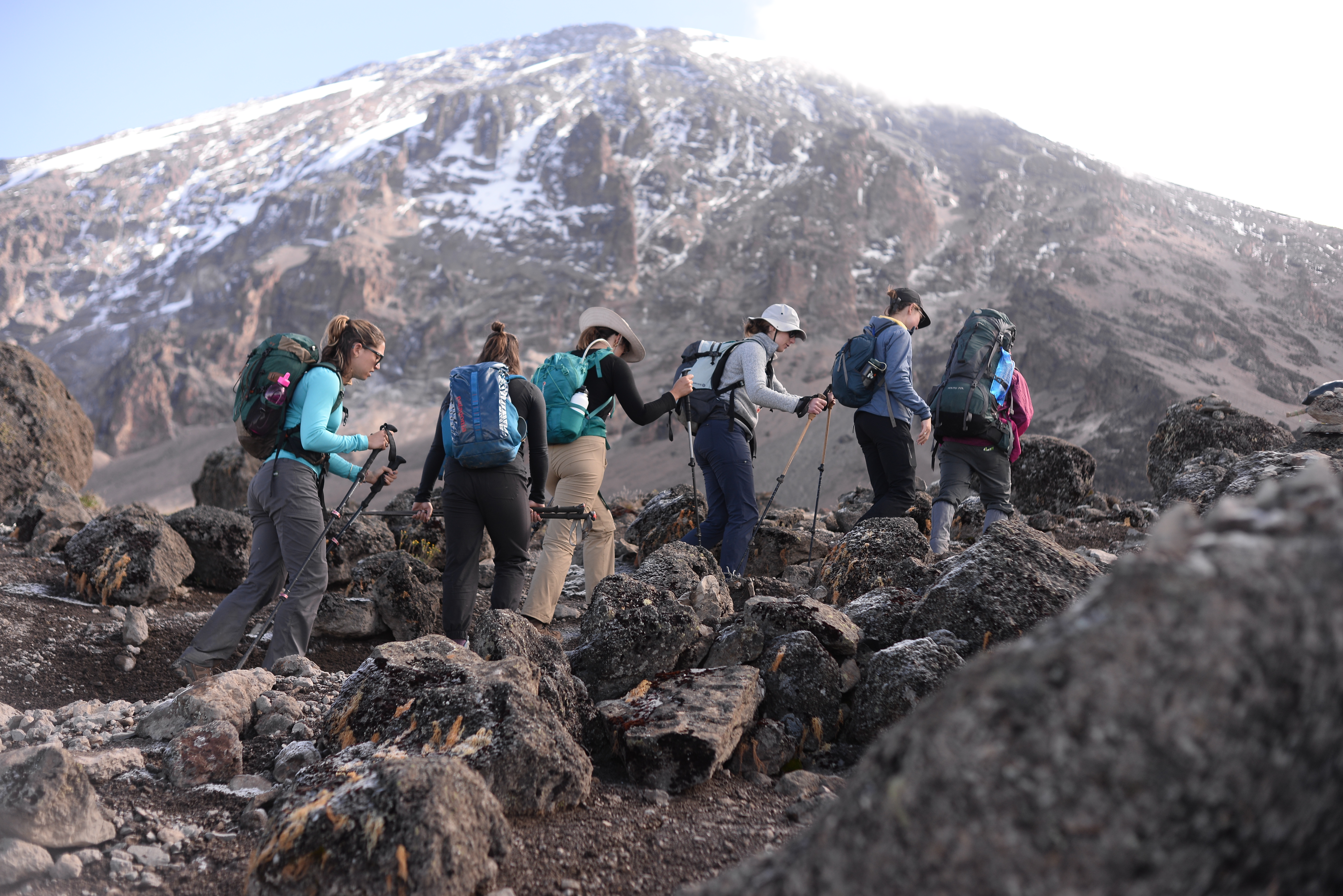 Scenic alpine landscape within Kilimanjaro National Park