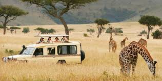 Custom 4x4 safari vehicle exploring the shores of Lake Ndutu during a wildlife game drive