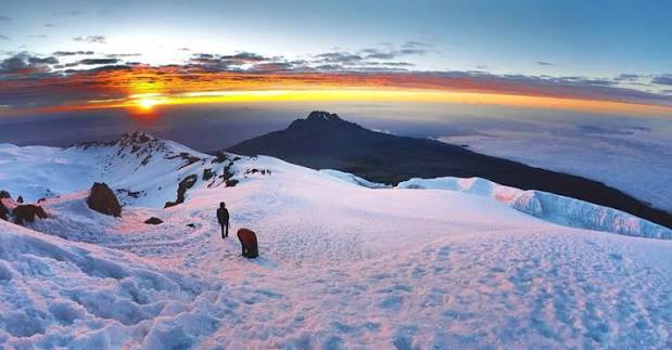 Elite expedition group trekking across the vast volcanic fields toward the Roof of Africa
