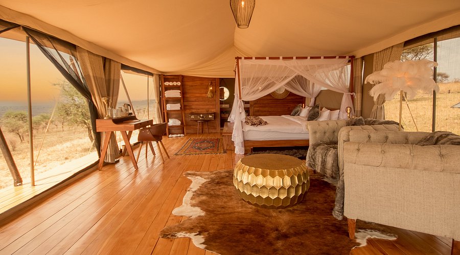 Luxury Safari 2