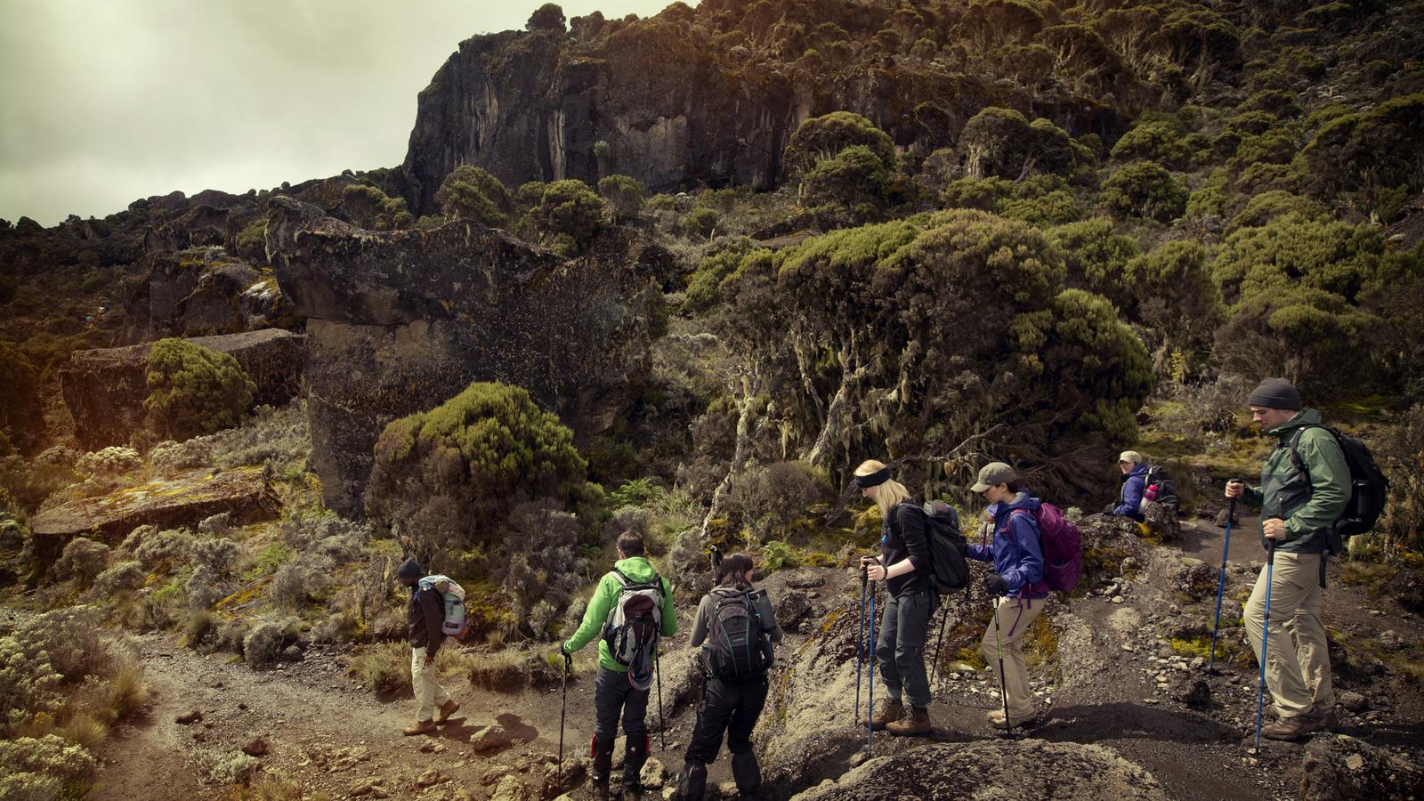 Trekkers via Machame Route