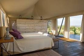 Luxury Safari 1