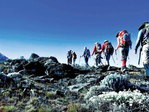 Luxury hikers trekking through pristine wilderness vistas along the Northern Circuit Route