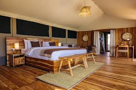 Luxury Safari 2