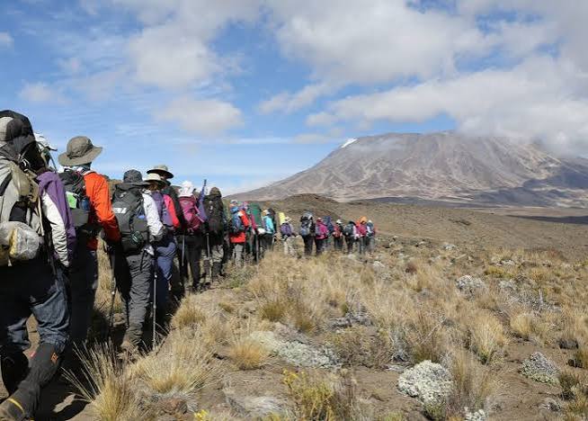 Guided luxury high-altitude summit push on the northern side of Mount Kilimanjaro