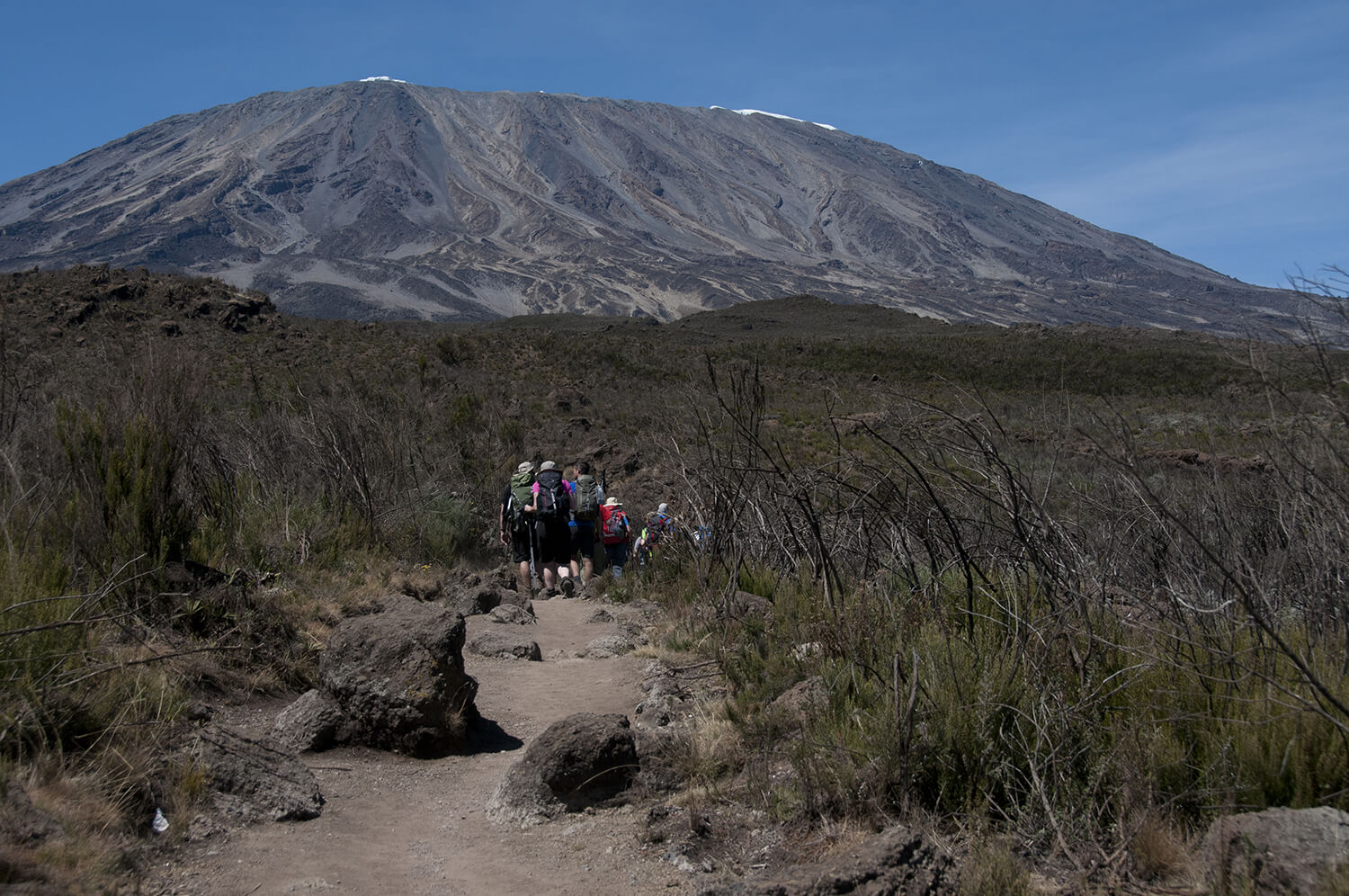 Shutter stock on the classic Rongai trail up Mount Kilimanjaro