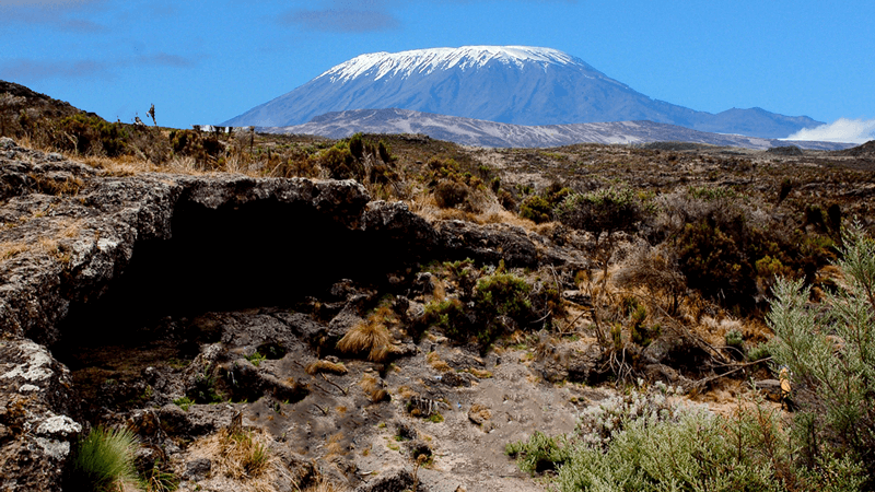 Northern slopes via the Rongai Route
