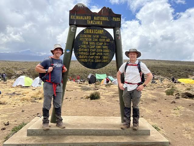 Discerning trekkers ascending out of the cloud forest into the expansive Shira Plateau heather zone