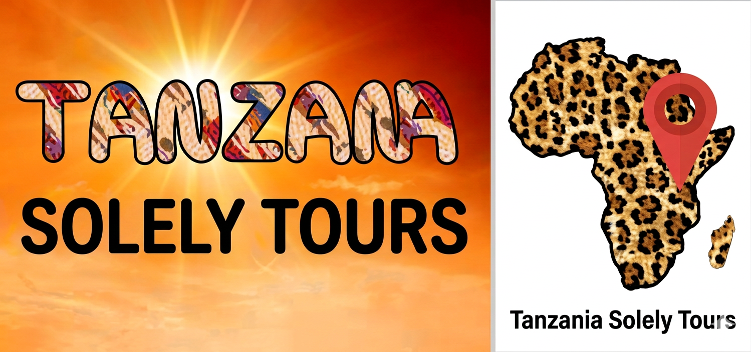 Tanzania Solely Tours Logo