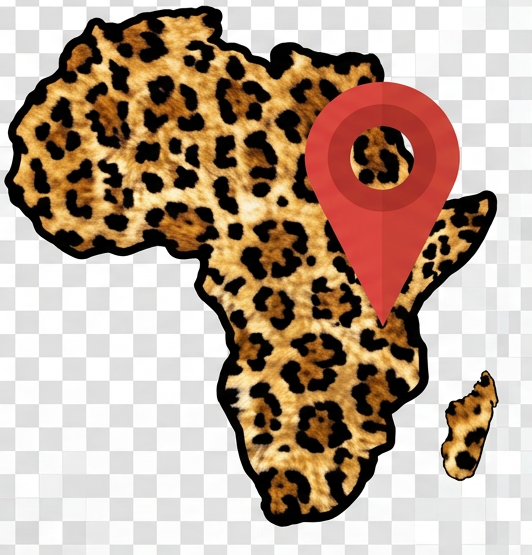 Tanzania Solely Tours Logo